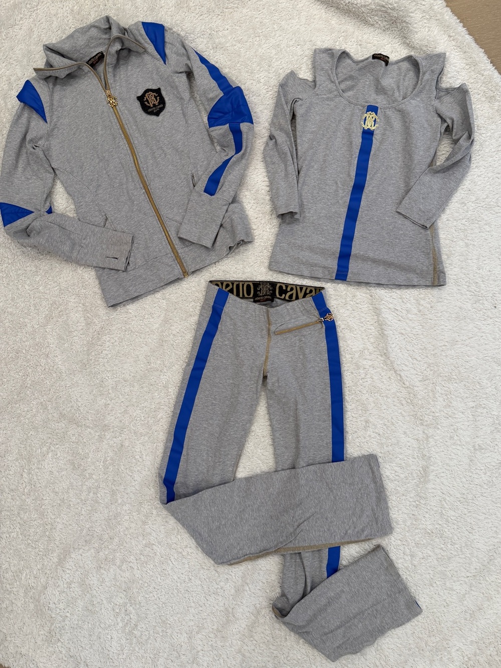 Y2K Roberto Cavalli Vintage Gray & Blue Athletic Tracksuit Set